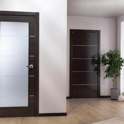 Modern Home Interior Doors